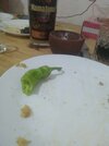IMG_20230810_231639.jpg